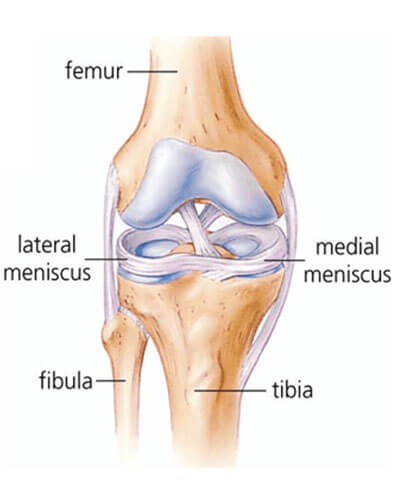 physiotherapy-for-meniscus-injuries