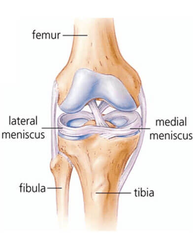 Physiotherapy for meniscus injuries